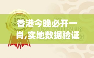 香港今晚必开一肖,实地数据验证_明亮版CKG13.37