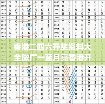 香港二四六开奖资料大全微厂一蓝月亮香港开奖,完善实施计划_供给版RID13.2