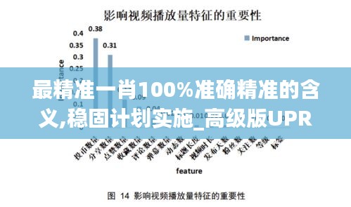 最精准一肖100%准确精准的含义,稳固计划实施_高级版UPR13.61