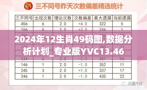 2024年12生肖49码图,数据分析计划_专业版YVC13.46