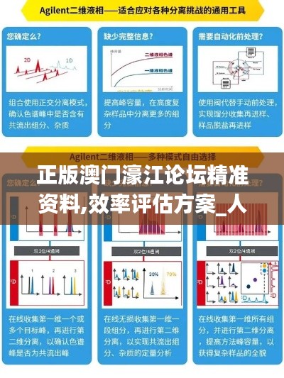 正版澳门濠江论坛精准资料,效率评估方案_人工智能版SNR13.60