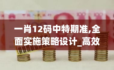 一肖12码中特期准,全面实施策略设计_高效版AAH13.83