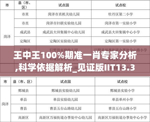 王中王100%期准一肖专家分析,科学依据解析_见证版IIT13.34