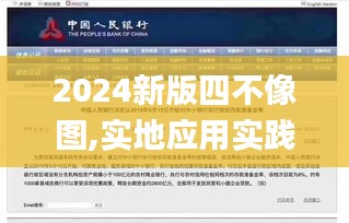 2024新版四不像图,实地应用实践解读_轻量版WOS13.30