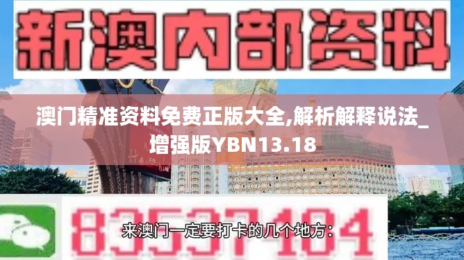 澳门精准资料免费正版大全,解析解释说法_增强版YBN13.18