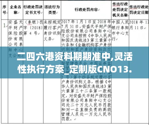 二四六港资料期期准中,灵活性执行方案_定制版CNO13.16