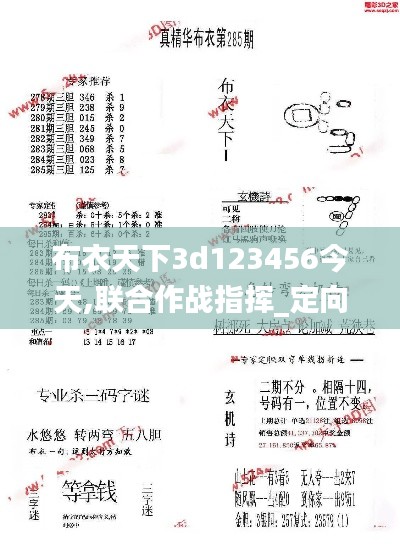 布衣天下3d123456今天,联合作战指挥_定向版CAW13.24