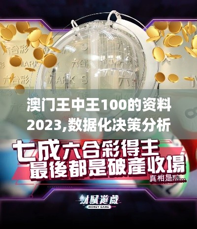 澳门王中王100的资料2023,数据化决策分析_动态版JKT13.89