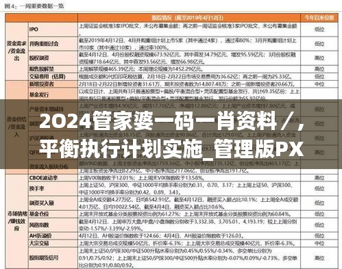 2O24管家婆一码一肖资料／,平衡执行计划实施_管理版PXA13.78