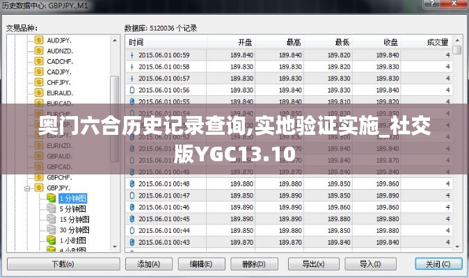 奥门六合历史记录查询,实地验证实施_社交版YGC13.10