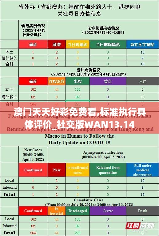 澳门天天好彩免费看,标准执行具体评价_社交版WAN13.14