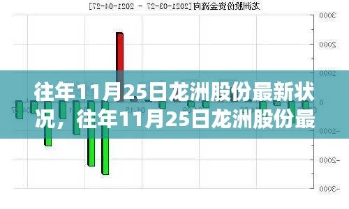 往年11月25日龙洲股份最新状况详解，最新指南与深度分析