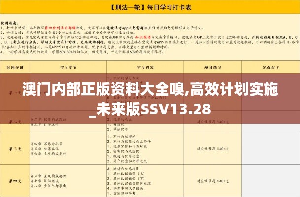 澳门内部正版资料大全嗅,高效计划实施_未来版SSV13.28