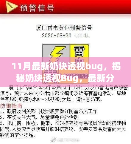 揭秘奶块透视Bug，最新分析与应对指南（针对奶块透视Bug最新更新版）