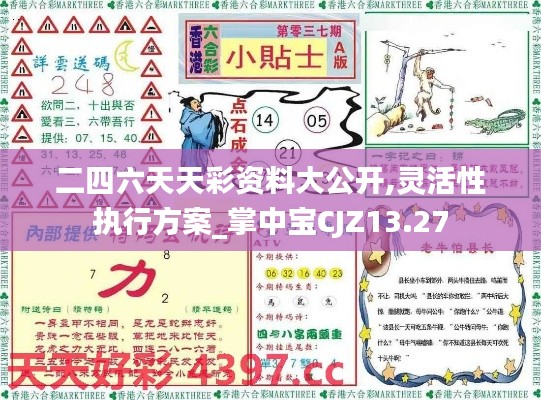 二四六天天彩资料大公开,灵活性执行方案_掌中宝CJZ13.27