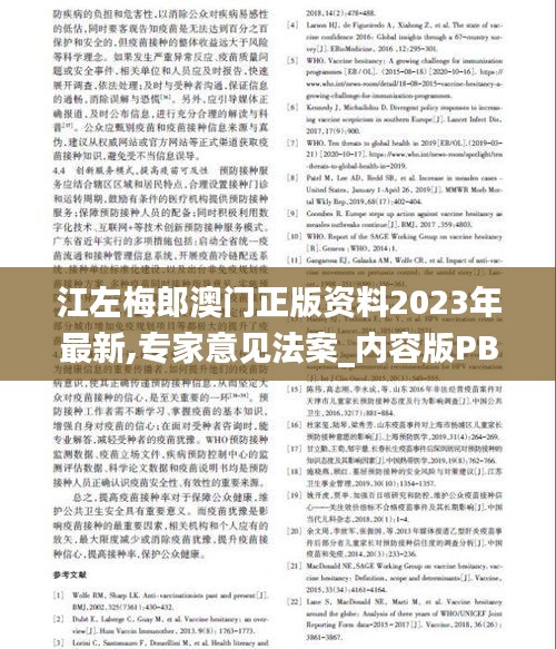 江左梅郎澳门正版资料2023年最新,专家意见法案_内容版PBE13.68