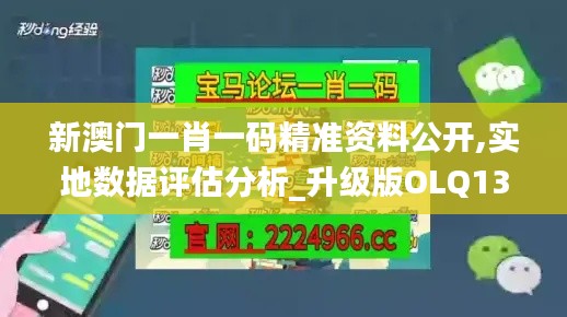 新澳门一肖一码精准资料公开,实地数据评估分析_升级版OLQ13.31