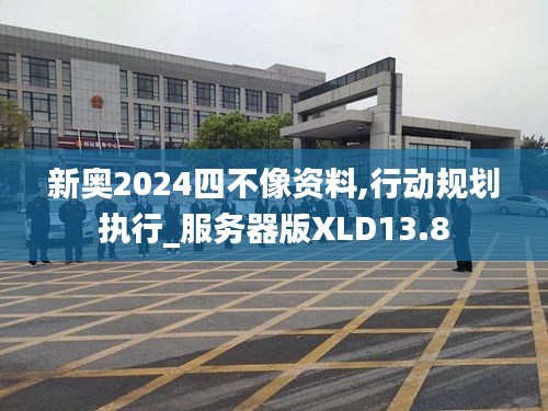 新奥2024四不像资料,行动规划执行_服务器版XLD13.8