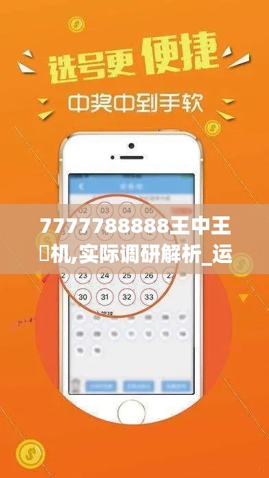 7777788888王中王厷机,实际调研解析_运动版TSV13.56