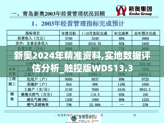 新奥2024年精准资料,实地数据评估分析_触控版WDS13.3