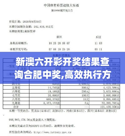 新澳六开彩开奖结果查询合肥中奖,高效执行方案_效率版EKF13.64