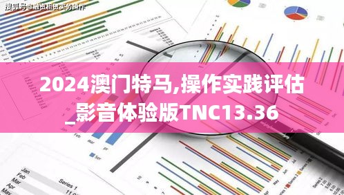 2024澳门特马,操作实践评估_影音体验版TNC13.36