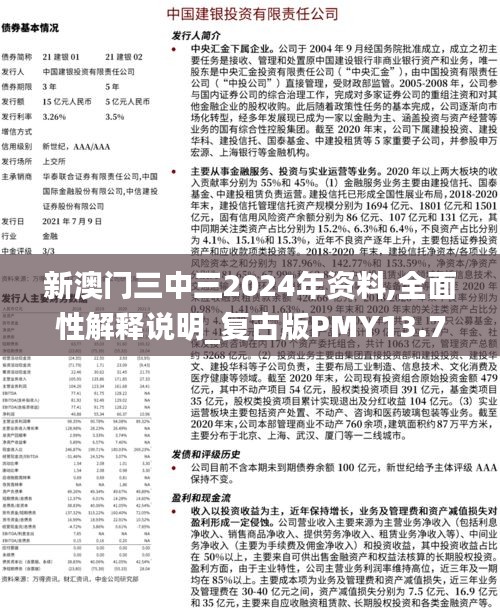 新澳门三中三2024年资料,全面性解释说明_复古版PMY13.7