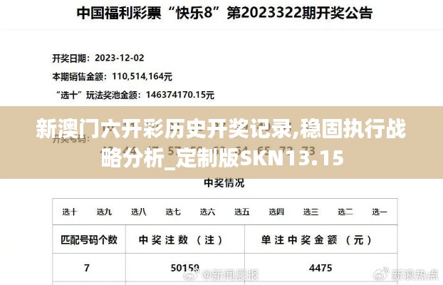 新澳门六开彩历史开奖记录,稳固执行战略分析_定制版SKN13.15