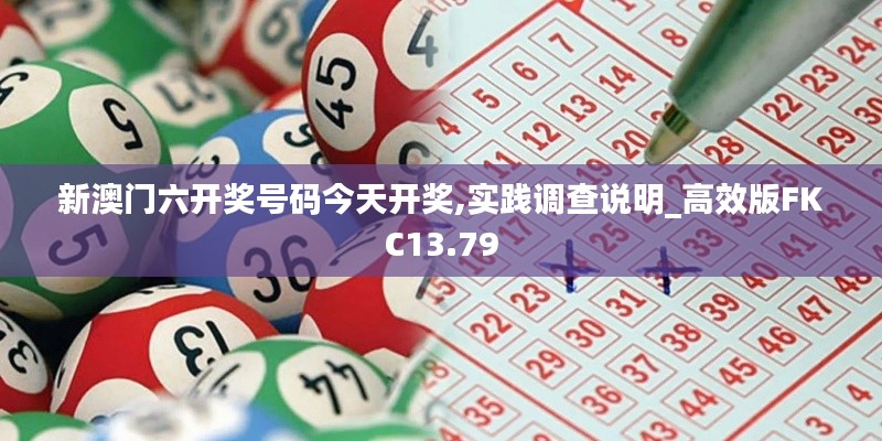 新澳门六开奖号码今天开奖,实践调查说明_高效版FKC13.79