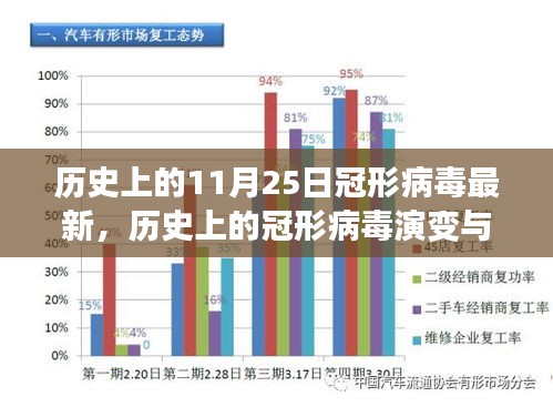 历史上的冠形病毒演变与应对，从初学者到进阶用户的详细指南（最新更新至11月25日）