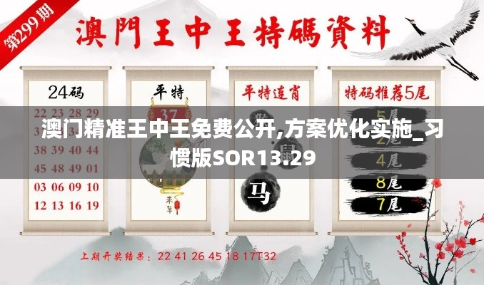 澳门精准王中王免费公开,方案优化实施_习惯版SOR13.29