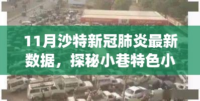 沙特新冠肺炎最新数据与美食小巷奇遇记