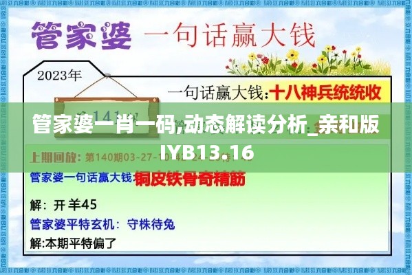 管家婆一肖一码,动态解读分析_亲和版IYB13.16