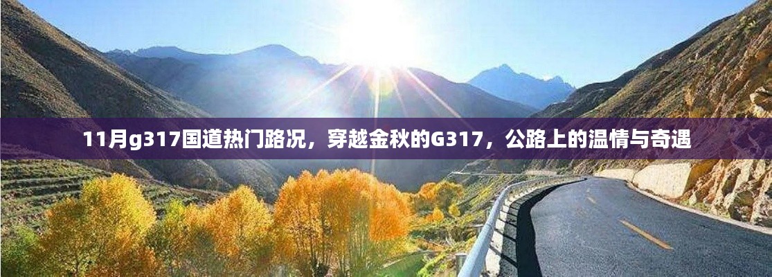 穿越金秋的G317国道，公路路况与温情奇遇指南