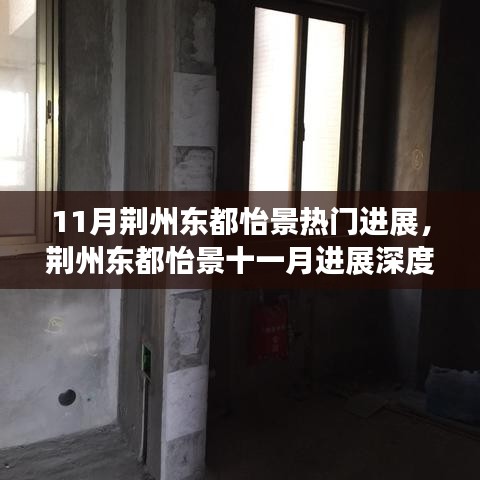 荆州东都怡景十一月进展报告，深度评测、特性体验、对比分析与群体洞察