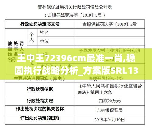 王中王72396cm最准一肖,稳固执行战略分析_方案版SRL13.25