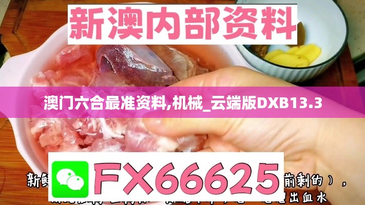 澳门六合最准资料,机械_云端版DXB13.3