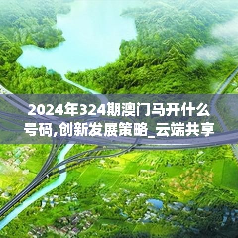 2024年324期澳门马开什么号码,创新发展策略_云端共享版JWY13.95