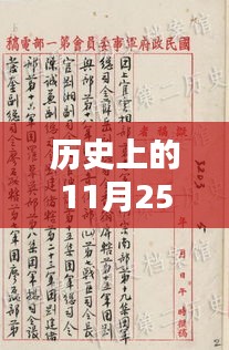 历史上的11月25日中国重大案件深度解析与回顾