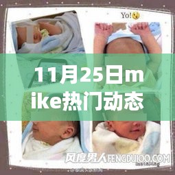 Mike热门动态揭秘，观点争议背后的热议焦点（11月25日）