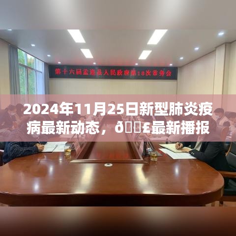 2024年11月25日新型肺炎疫病全球最新动态播报