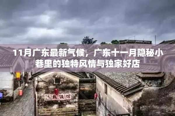 广东十一月隐秘小巷的独特风情与独家好店，最新气候下的魅力风采