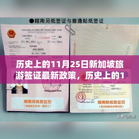 历史上的11月25日新加坡旅游签证政策详解与申请指南