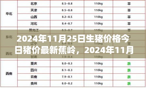 蕉岭最新生猪价格动态，今日猪价概览与趋势分析