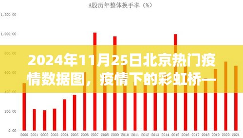 北京疫情下的彩虹桥，温情故事与疫情数据图揭秘（2024年11月25日）