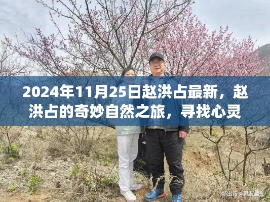 赵洪占的奇妙自然之旅，心灵静谧的桃花源探寻于2024年11月25日最新动态