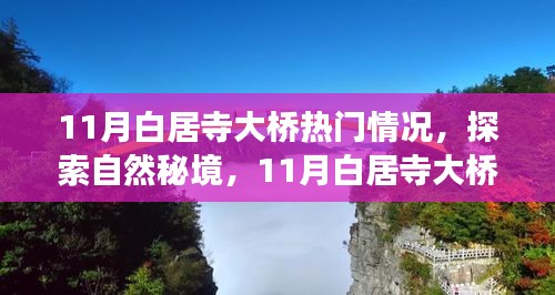 11月白居寺大桥下的自然秘境之旅，宁静与内心平和的探寻