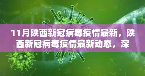 陕西新冠病毒疫情最新动态深度解析与案例分析（最新11月数据）