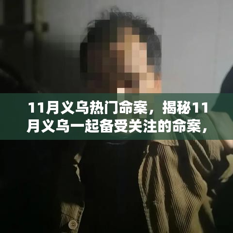 揭秘，义乌11月热门命案真相、细节与反思