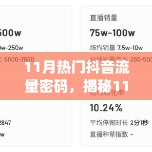 揭秘11月抖音流量密码，把握短视频流量红利的秘诀！